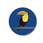 toucan