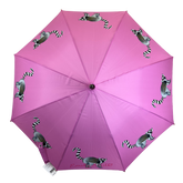 Livy umbrella