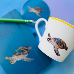 Tom turtle bundle