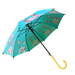 Kids Flossy & Amber Umbrella