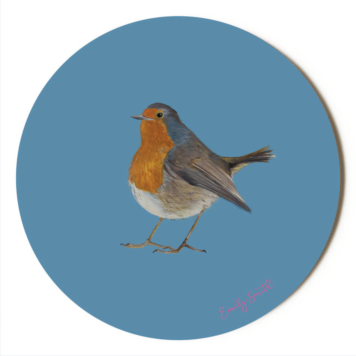 NEW Remy Robin Round Coaster