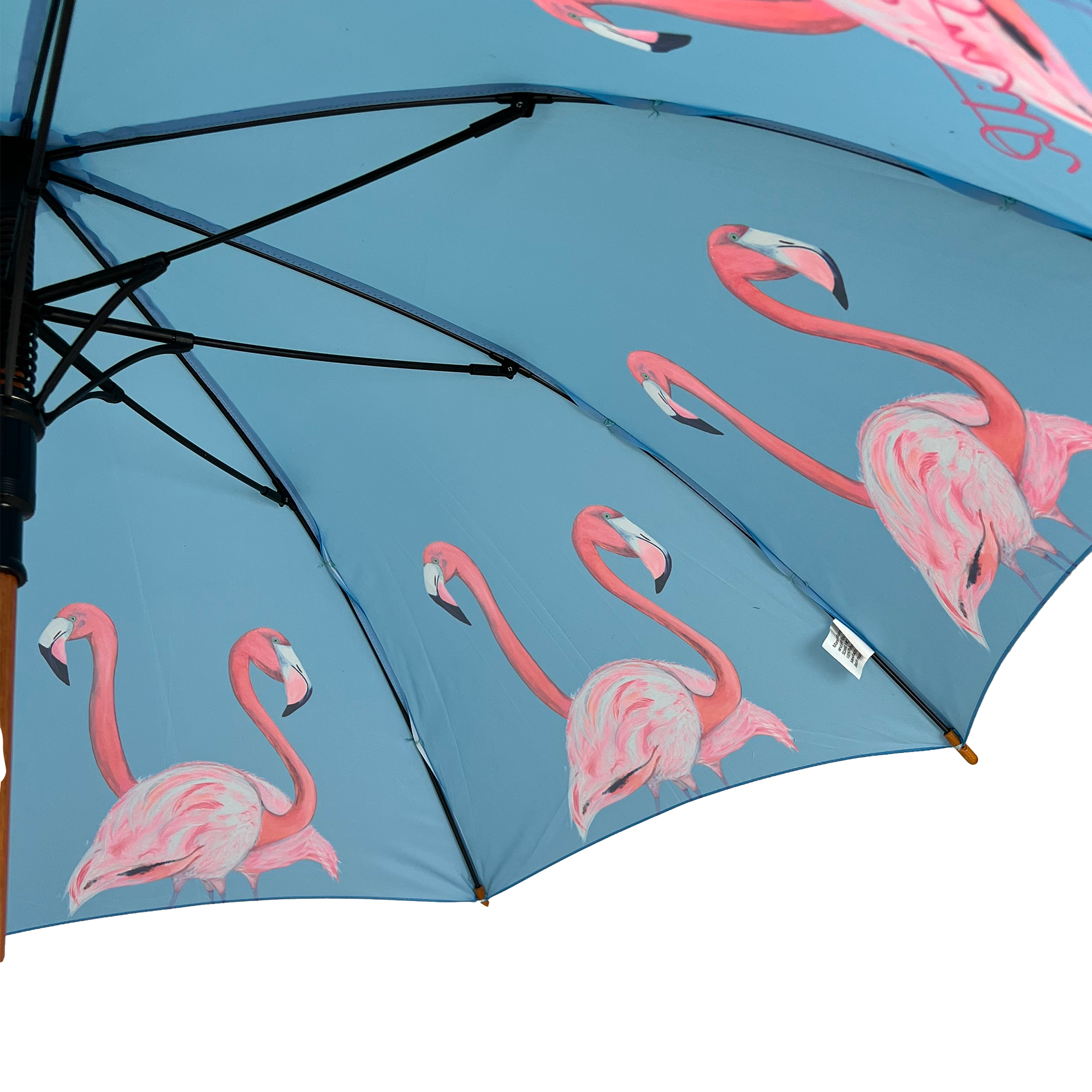 Flossy & Amber Umbrella